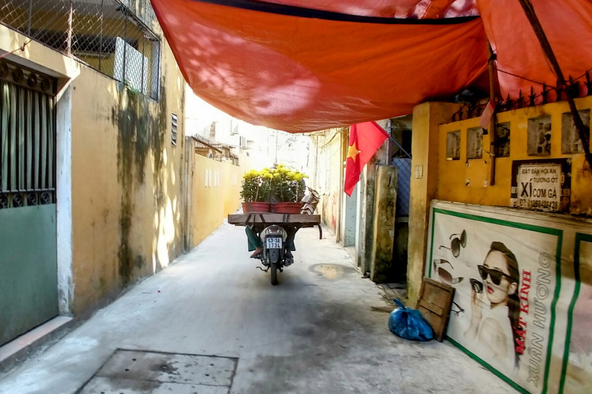 Flowers on the back of a scooter in Hoi An's back streets just before Tet holiday.