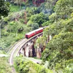 A steam train crossing the railway viaduct outside Ella Sri Lanka. Tea plantations and jungle foliage are visible.