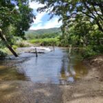 Shannonvale Swimming Hole shannonvale swimming hole